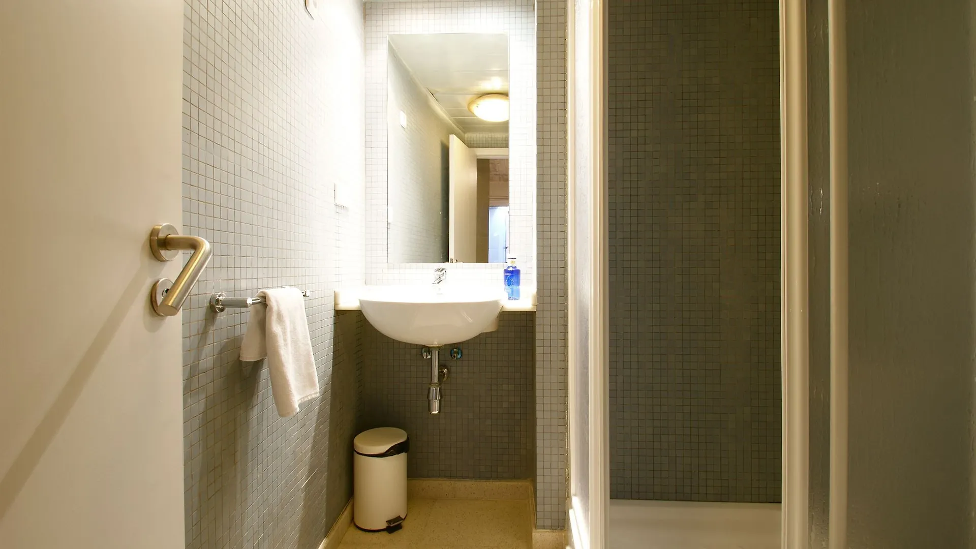 Ferienwohnung Borne Lofts Barcelona 0*,